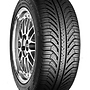 Michelin PILOT SPORT A/S PLUS 255/45 R19 100V TL M+S GREENX FP